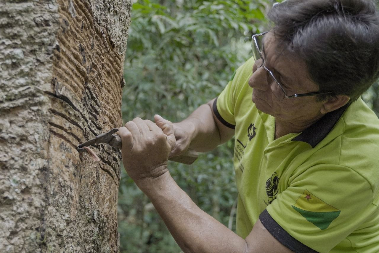 Rede Cooperacre se consolida como referência em bioeconomia na Amazônia e recebe visita presidencial no Acre